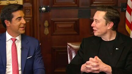 Elon Musk Goes On WTF Rant About Pandas In Fox News DOGE Special