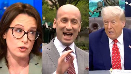 Maggie Haberman Rips Trump, Stephen Miller On Habeas Corpus