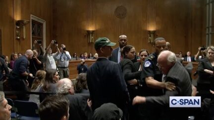Ben & Jerry's co-founder Ben Cohen dragged out of RFK Jr. hearing