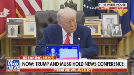 Donald Trump and Elon Musk press conference