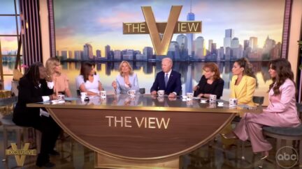 View Co-Host Complains About Jill Biden During Interview