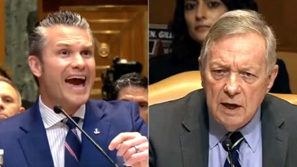 Trump Defense Hearing Goes In Stunning Direction — 'Up The Rear Ends Of Cats'
