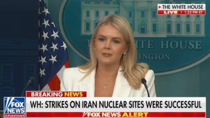 Karoline Leavitt Blasts CNN Reporter Rachel Bertrand