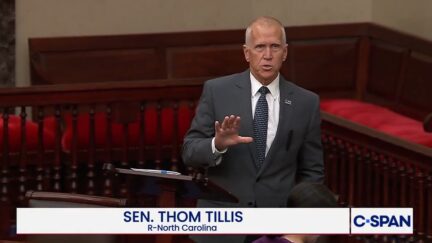 Thom Tillis