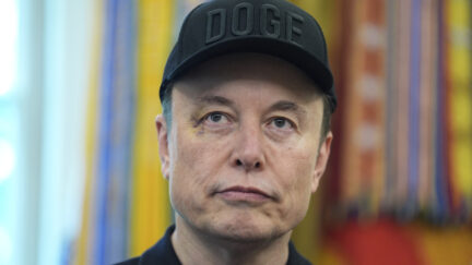Elon Musk in Oval Office