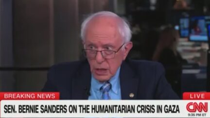 Bernie Sanders