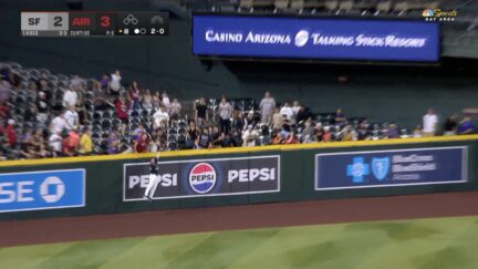 Arizona Diamondbacks fan banned for interference