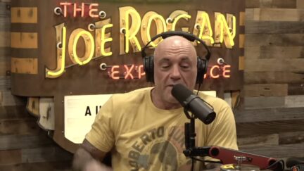 Joe Rogan comments on Epstein case