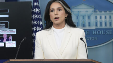 Tulsi Gabbard