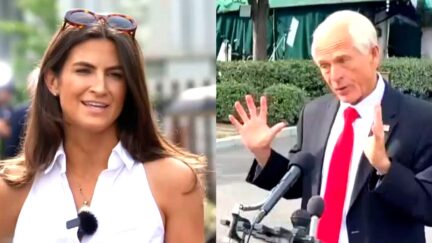 CNN's Kaitlan Collins Roasts Trump Trade Honcho For Praising His Own Answer