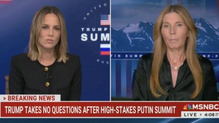 Nicolle Wallace