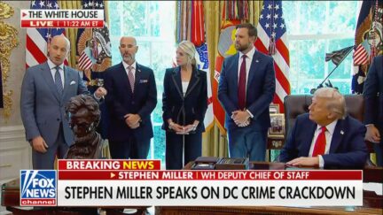 Stephen Miller