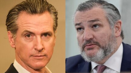 Newsom and cruz