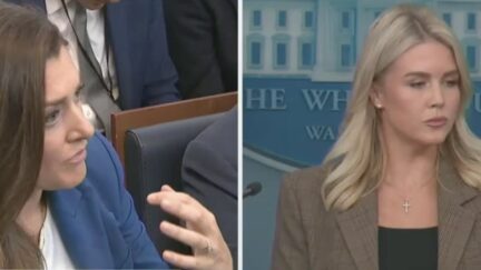 Kristen Holmes and Karoline Leavitt