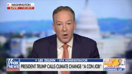 Lee Zeldin