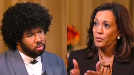 Kamala Harris Slams Trump DOJ In New MSNBC Interview
