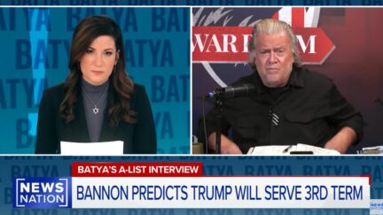 Steve Bannon