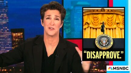 MSNBC's Rachel Maddow Gleefully Twists Knife On 'Astonishing' Trump Poll Numbers