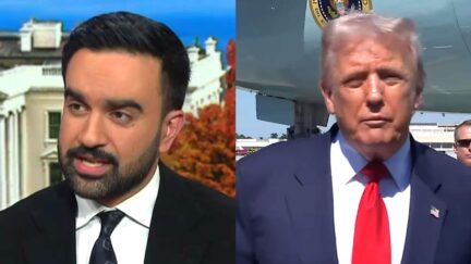 Mamdani Agrees With MSNBC Host 'A Vote For Cuomo' Is 'A Vote For Trump'