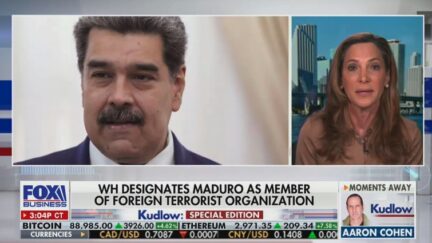 Maria Elvira Salazar