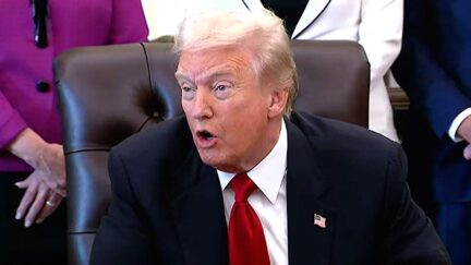 Trump Confronted On 'Tariffs Are Taxes' Quote — Admits Americans 'Pay Something' But Gain Not Dying In War