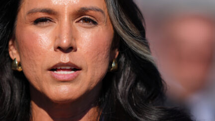 Tulsi Gabbard