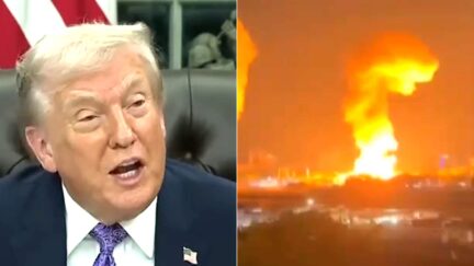 Trump Shredded Over Bombshell Arrest — One Month After Pardoning Drug-Trafficking Ex-Prez