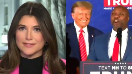 'Dead To Me!' Trump In Profane Frothing Rage At Allies Who Slammed Racist Video Say CNN White House Sources