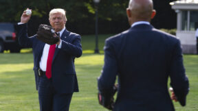 Trump baseball