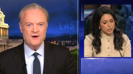 'That's Simply Perjury!' Lawrence O'Donnell Torches Trump Intel Chief Gabbard For 'Lying' At Hearing
