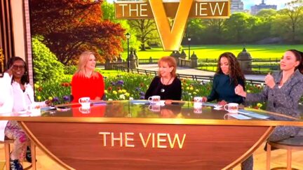 Whitney Cummings Mercilessly Roasts Trump — In Between Getting Stepped on By View Hosts