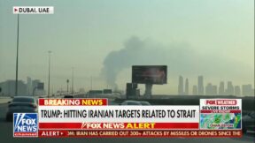 Dubai airport strike