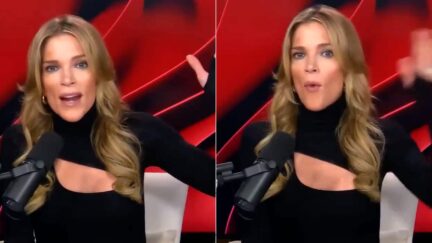 Here's Where That Stunning Viral Megyn Kelly Clip Attacking Fox News Is From