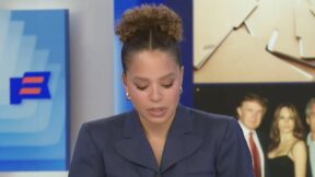 Antonia Hylton, Melania Trump, Jeffrey Epstein