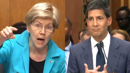 Warren Asks Trump Fed Pick Point-Blank 'Did Donald Trump Lose in 2020'