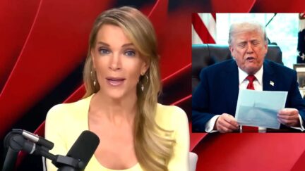 'You're Effed!' Megyn Kelly Stunned By Disastrous Trump Polls