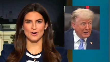 Kaitlan Collins Struck By Trump Maybe Blowing Off Son's Wedding
