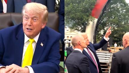 NEW POLL: Americans Disapprove of Trump's UFC Arena at White House — By Whopping 7 to 1