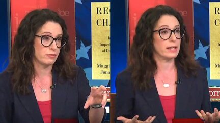 Maggie Haberman Roasts Trump On MS NOW Over Bombshell Hitler-Golf-'Historian' Revelation