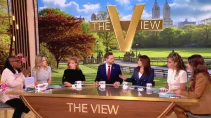 JD Vance, The View