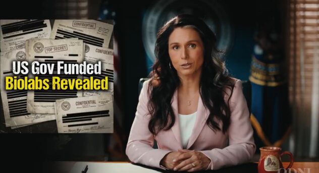 Tulsi Gabbard