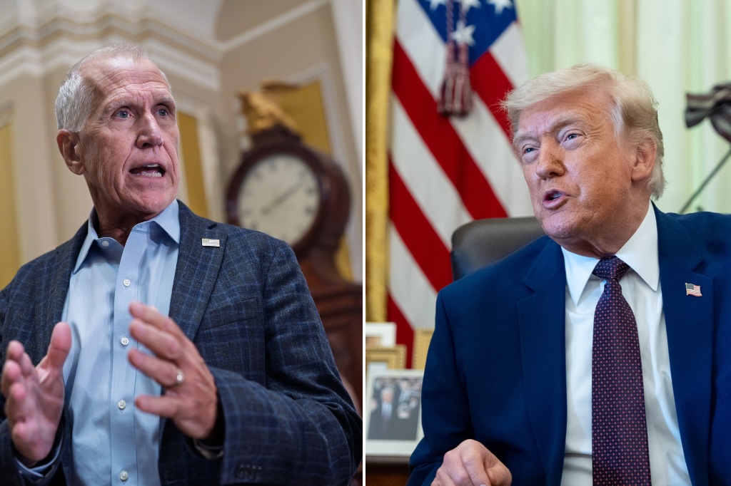 Thom Tillis, Donald Trump
