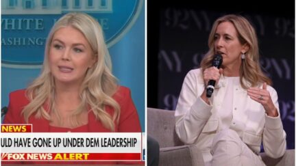karoline leavitt at a wh press briefing mikie sherrill at an event holding a microphone