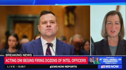 bill pulte and barbara mcquade in a split screen on ms now