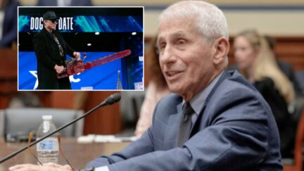 Dr. Anthony Fauci griped about Elon Musk's 