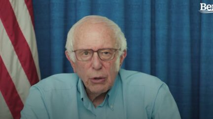 Bernie Sanders