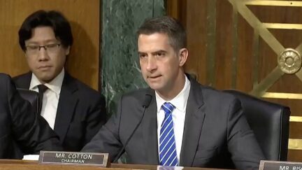 Tom Cotton