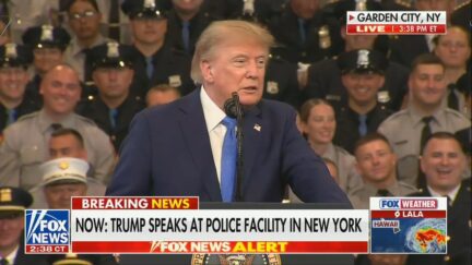 President Donald Trump