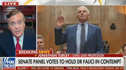 Jonathan Turley discussing Fauci contempt vote on Fox News' America's Newsroom