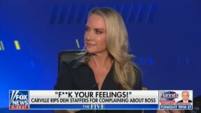 Dana Perino